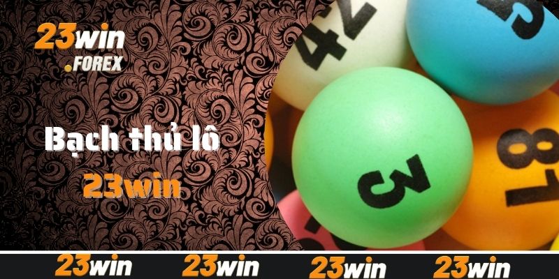 Bạch thủ lô là gì và có nên chơi không?