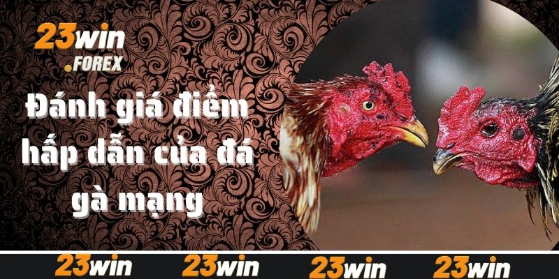 Đánh giá điểm hấp dẫn của đá gà mạng
