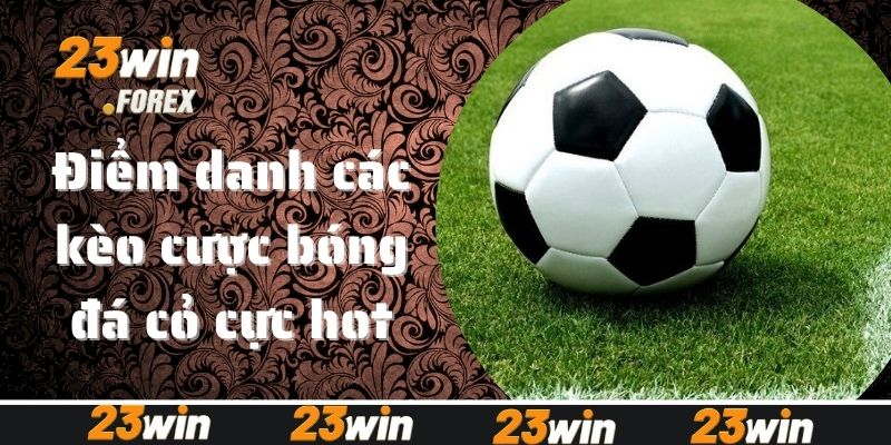 Điểm danh các kèo cược bóng đá cỏ cực hot
