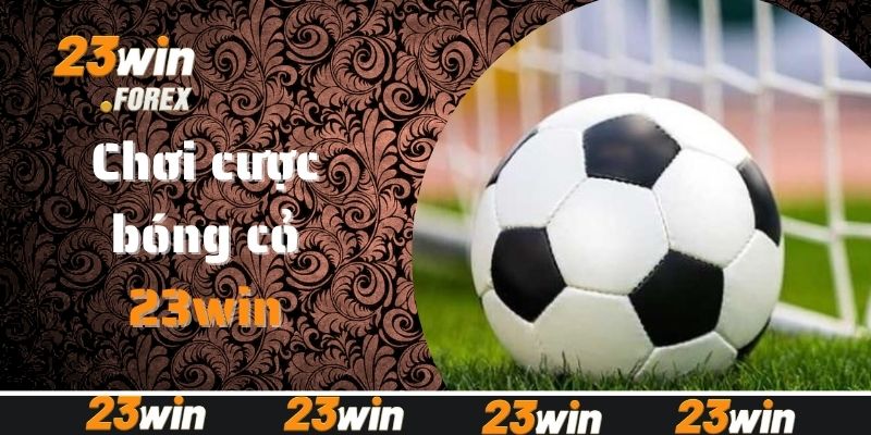 Đôi nét về hình thức chơi cược bóng cỏ