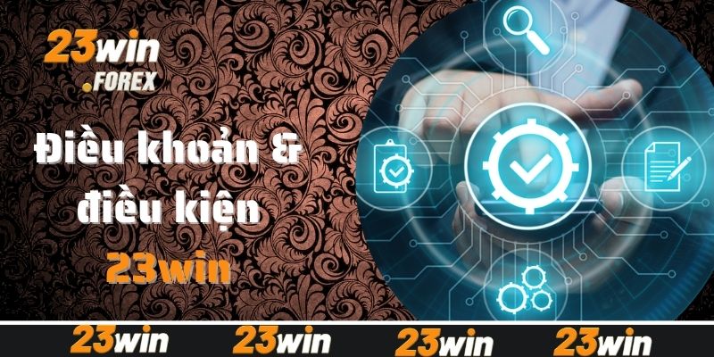 Giới thiệu sơ lược về điều khoản & điều kiện