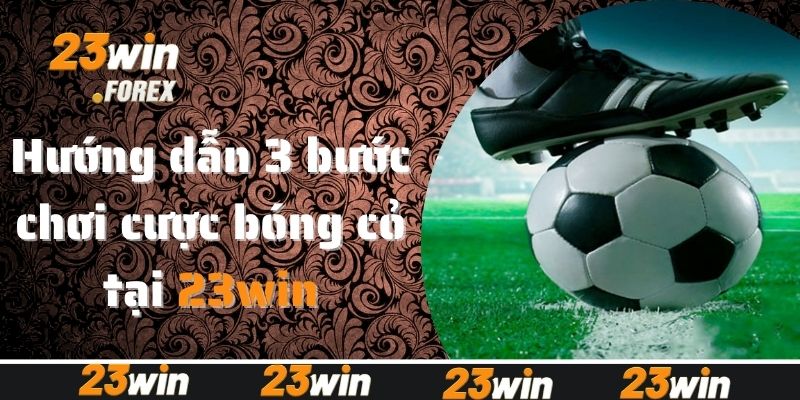 Hướng dẫn 3 bước chơi cược bóng cỏ tại 23win