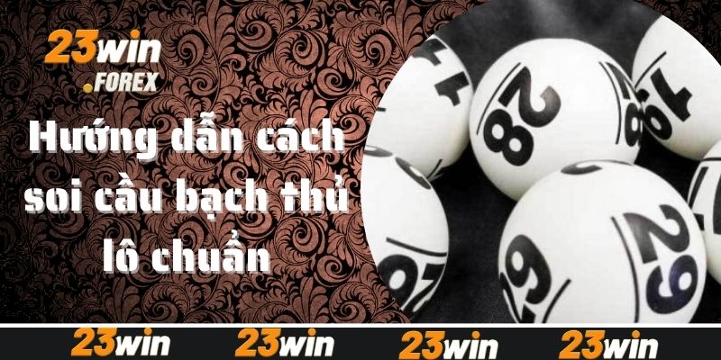 Hướng dẫn kinh nghiệm nuôi lô bạch thủ dành cho tân binh