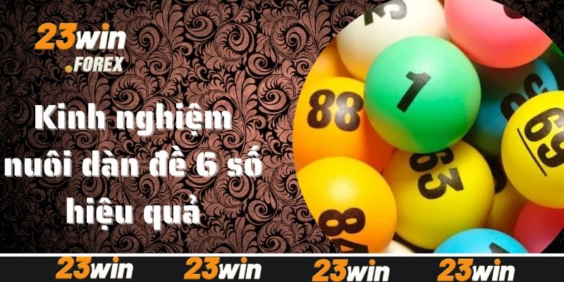 Kinh nghiệm nuôi dàn đề 6 số hiệu quả thắng lớn liên tiếp