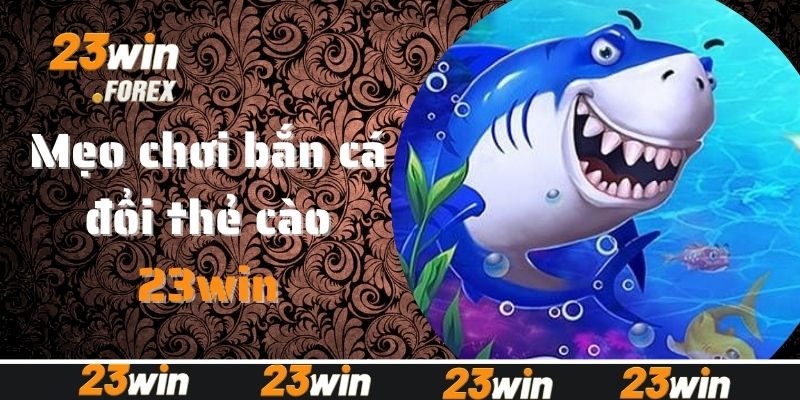 Mẹo chơi bắn cá đổi thẻ cào hiệu quả săn thưởng lớn