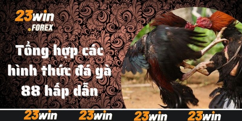 Tổng hợp các hình thức đá gà 88 hấp dẫn